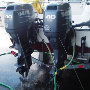 Run 10-15 min with just enough pressure so the "pee"  stream looks like it would with the engine running.  Don't need to run the engines during this. Actually, should not run the engines, (according to the Yamaha mechanics).