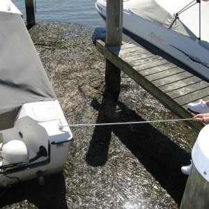 Tight lines!