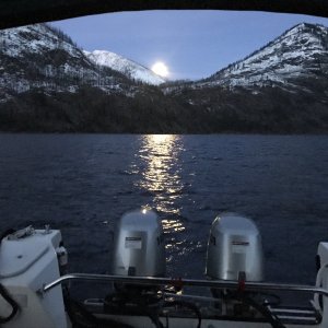 Good night moon