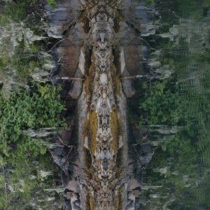Shoreline Totem