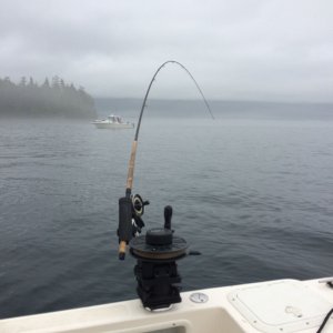 fog at the Breadline (Cracroft)