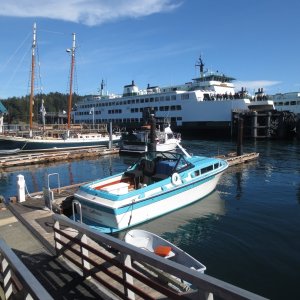 Tim Jones has the shinyest boat in the marina, his beautiful Skagit 31. 10-5-14
