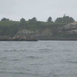 DSCN3036