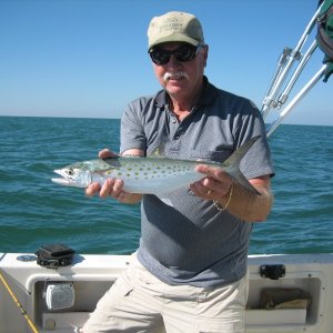 Fl. Spanish Mackerel