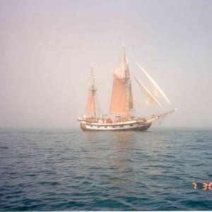 (C-Bill) Time Warp in a Fog Bank - W. from Bodega Bay