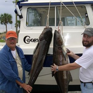 C-dory will raise fish