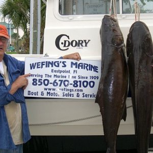 Cobia