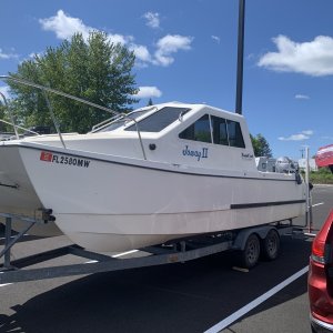 Tomcat arrival from Florida