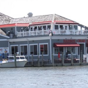Bars and Restaurants abound in Kent Narrows