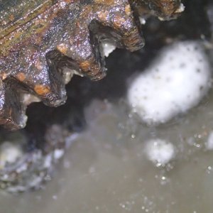 Looking down onto flywheel 07 BF90