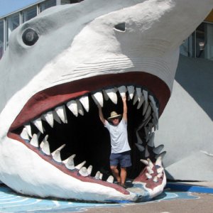 Cheesy tourist stuff