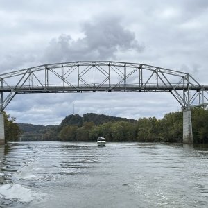 Mystery Girl going under Henry Horton bridge
