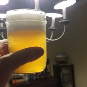 Hermine sour homebrew
