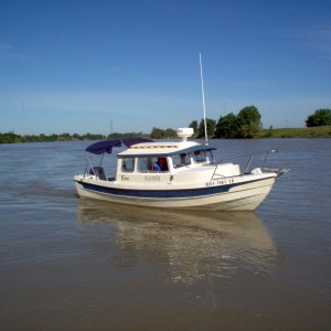 (Cygnet) Islander in the Sac. Delta