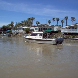 (Cygnet) Dora Jean cruisin\' the Delta