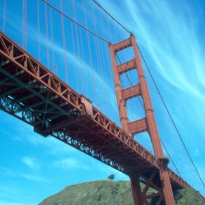 (Cygnet) What a view of the Golden Gate Bridge!