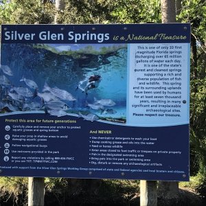 Silver Glen Springs