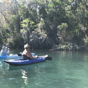 Bill and Rosanne checking out an alligator and turtle