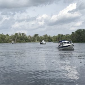 St Johns River C Dorys