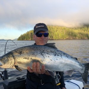 Cliff Pt coho