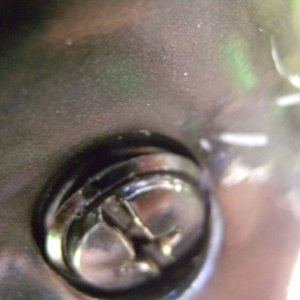 SUZ DF50 Lower Unit Drain Plug Gasket Extrusion