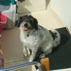 bosun mate "ruby"