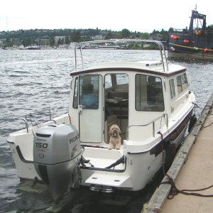 (Pat Anderson) - Ivar's Salmon House Dock, Lake Union - Stern View with Dog