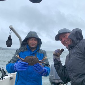 tillamook crab