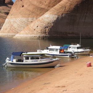 Media 'small c pod' in album 'Rainbow bridge'