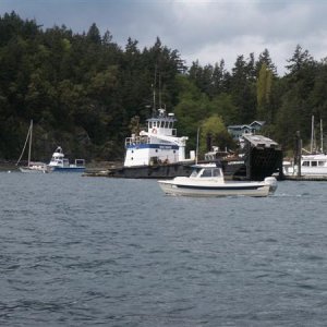 PICT0001.JPG
