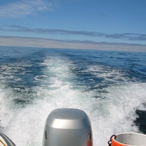 Tuna fishing 2 7-31-2007