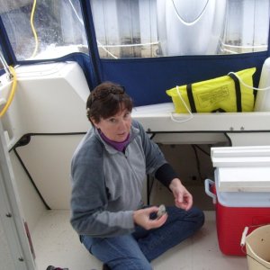 Media 'Captain clearing the bilge of water in anticipation of sub-freezing temperatures - (3JAN10)' in album 'The Captain on Sea Baby at Mobile East Marine.  Gene had just finished the bottom paint job.  (7NOV09)'