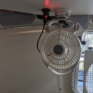 PXL 20201010 190704777