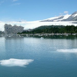 (AnchortownJim) Berg Bits, Blackstone Bay, PWS, 7/31/04