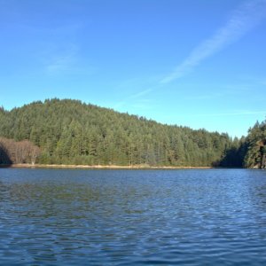 An empty Eagle Harbor on New Years Eve