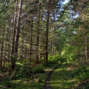 Trail on Cypress leaving Eagle Harbor, heading north
