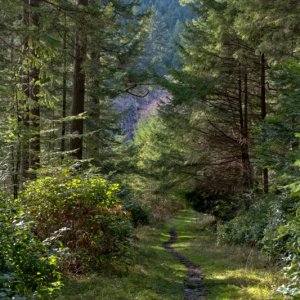 Trail just north of Eagle Harbor
