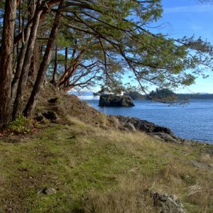Hiking along the east shore of Cypress Island