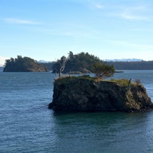 Looking out at the Cone Islands just east of Cypress