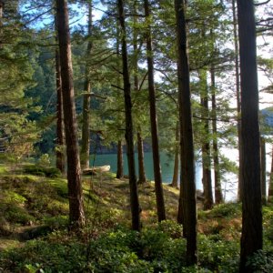 Such great weather for a hike! Only downside is the shortness of days this time of year.