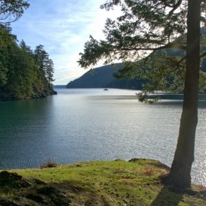 An empty Eagle Harbor for New Years Eve