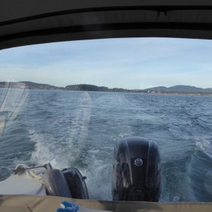 Cruised about 5 kts the entire trip