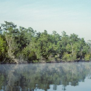 Mist on the Creek-5.

Scanned slide taken in July 1989