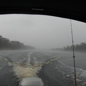 A good day for ducks and to head home from a great trip