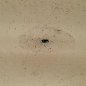 Ceiling hole to roof rack