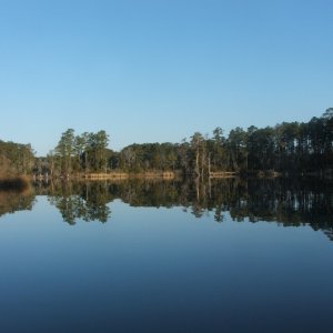 Upper Goose Creek  at GCSP(21FEB10)