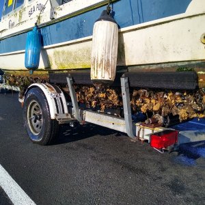 My 22 Cruiser came with its own ecosystem. It was abandoned by the owner, spent at least 2yrs sitting at the marina.