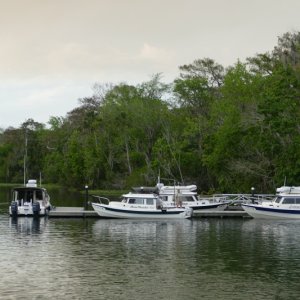 Dock at Ponce de Leon.  Table cooking breakfast at the Sugarmill restrauant