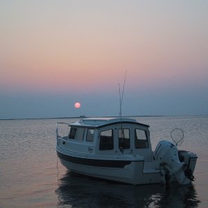 103-0372_IMG_2
remote eastern shore Chesapeake Bay.