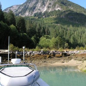 Toba Inlet 2.JPG

Water is milky green from glacial melt.  Can't see the bottom and depth finder tends to read the boundary area between fresh & salt or about 3'.
